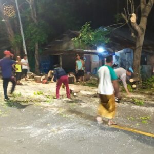 Respons Cepat! Pohon Tumbang di Jalan Raya Senggigi Berhasil Dievakuasi