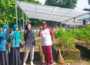 Lahan Bergizi Dusun Lembahsari, Solusi Pangan Mandiri!