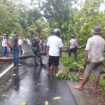 Tanggap Darurat Cuaca Ekstrem, Polsek Gerung Atasi Pohon Tumbang