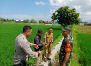 Karang Bongkot Punya Potensi! Lahan Kosong Siap Digarap Petani