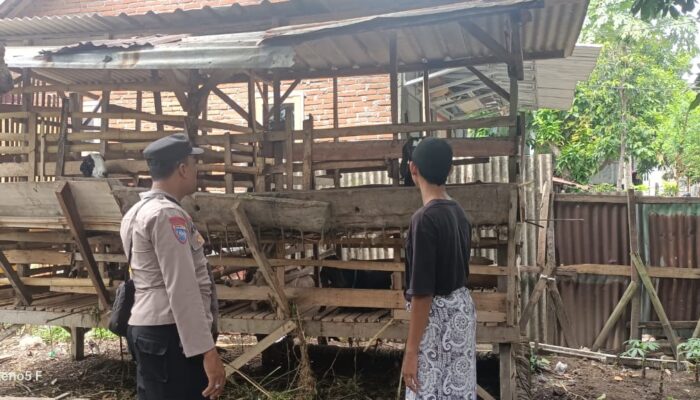 Polisi Gerung Aktif Dukung Ketahanan Pangan Keluarga di Lombok Barat