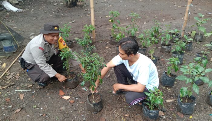 Polisi di Lombok Barat Aktif Dukung Ketahanan Pangan Nasional