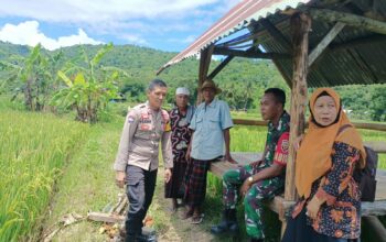 Sinergi Polri dan Petani, Wujudkan Ketahanan Pangan di Kuripan Selatan