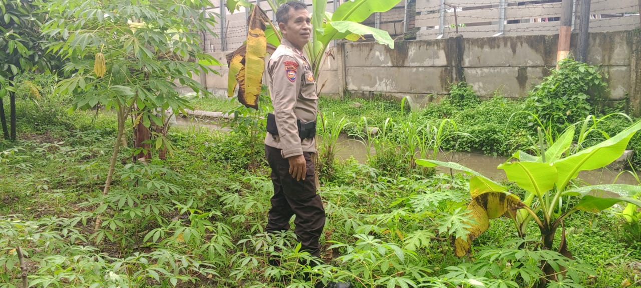 Sinergi Polri dan Warga, Optimalkan Lahan Kosong untuk Pangan Mandiri