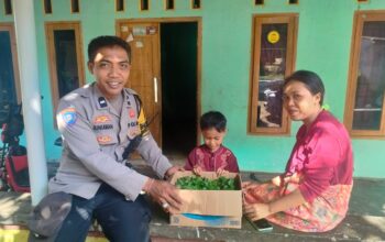 Bhabinkamtibmas Desa Eyat Mayang Salurkan Bibit Cabai, Dukung Ketahanan Pangan Warga