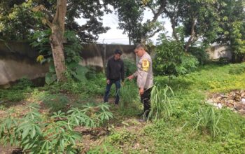 Ketahanan Pangan Lombok Barat: Peran Aktif Bhabinkamtibmas di Desa