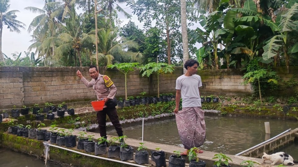 Ketahanan Pangan Kuripan: Bukti Nyata Bakti Bhabinkamtibmas