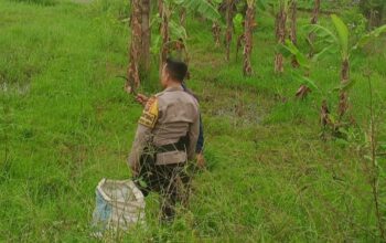 Ketahanan Pangan di Labuapi, Peran Aktif Polisi Jaga Stabilitas Harga