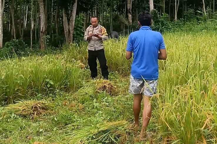 Sinergi Polisi-Petani: Lombok Barat Siap Hadapi Ramadan