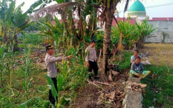 polsek, labuapi, polri, petani, pertanian, dukungan, program, pemerintah, bhabinkamtibmas, sinergi