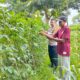 Bhabinkamtibmas Polsek Buer Dukung Ketahanan Pangan Nasional Lewat Pembinaan Petani