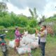 Bhabinkamtibmas Desa Kadindi Pantau Panen Raya Jagung, Dukung Ketahanan Pangan Nasional