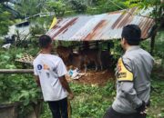 Lombok Barat Mandiri Pangan, Ini Peran Aktif Polisi