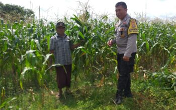 Bhabinkamtibmas Turun ke Desa, Warga Siap Tanam Jagung