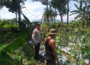 Polsek Kuripan Dorong Ketahanan Pangan, Warga Antusias!