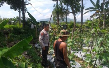 Polsek Kuripan Dorong Ketahanan Pangan, Warga Antusias!