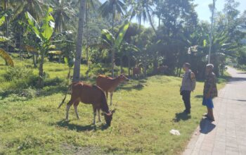 Bhabinkamtibmas Batulayar Barat Aktif Dorong Ketahanan Pangan Masyarakat Melalui Pemanfaatan Pekarang