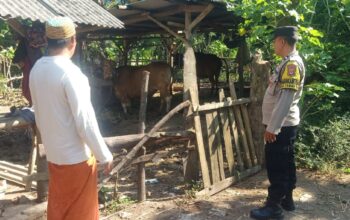 DDS Bhabinkamtibmas Sekotong: Sinergi Polri dan Masyarakat untuk Ketahanan Pangan