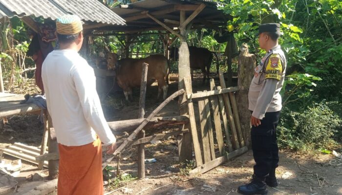 Bhabinkamtibmas Sekotong Dorong Warga Manfaatkan Pekarangan untuk Ketahanan Pangan