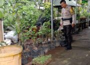 Bhabinkamtibmas Desa Terong Tawah Galakkan Ketahanan Pangan di Desa