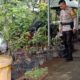 Bhabinkamtibmas Desa Terong Tawah Galakkan Ketahanan Pangan di Desa