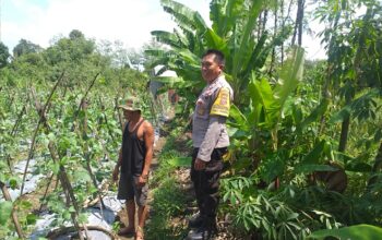 Polsek Kuripan Aktif Sosialisasi Ketahanan Pangan ke Petani Desa Jagaraga