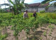 Peran Bhabinkamtibmas dalam Mendorong Ketahanan Pangan Desa