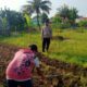 Bhabinkamtibmas Lombok Barat Aktif Dorong Warga Manfaatkan Pekarangan