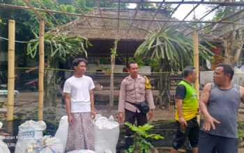 Kepolisian dan Pemuda Bersatu Perkuat Ketahanan Pangan Desa