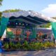 Car Free Nite Day Meriahkan Lombok Barat dengan Pentas Budaya