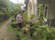 Dukung Pertanian Pekarangan, Polri Hadir Erat di Tengah Masyarakat di Sekotong
