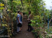 Lombok Barat, NTB – Kepolisian Sektor Kuripan, melalui personel Bhabinkamtibmasnya, terus menunjukkan komitmen dalam mendekatkan diri dengan masyarakat sekaligus mendukung program-program strategis pemerintah hingga ke tingkat akar rumput. Salah satu wujud nyata dari upaya ini terlihat pada Rabu (14/05/2025), ketika Bhabinkamtibmas Desa Kuripan Utara melaksanakan kunjungan dan silaturahmi di Dusun Pesongoran. Fokus utama kunjungan kali ini adalah menyambangi Komunitas Pemuda Peduli Lingkungan yang berlokasi di dusun tersebut. Pertemuan yang berlangsung santai namun penuh makna ini dimulai sekitar pukul 09.30 WITA dan dihadiri oleh sejumlah perwakilan pemuda anggota komunitas. Meningkatkan Sinergi dan Kesadaran Pangan Lokal Kegiatan yang diinisiasi oleh Bhabinkamtibmas Desa Kuripan Utara ini bertujuan ganda: pertama, mempererat jalinan silaturahmi dan komunikasi yang sudah terjalin baik antara pihak kepolisian dengan warga binaan, khususnya komunitas pemuda. Kedua, dan tak kalah pentingnya, adalah mensosialisasikan serta mendorong partisipasi aktif komunitas dalam program ketahanan pangan nasional, dengan fokus pada skala rumah tangga dan komunitas. Di tengah tantangan global terkait ketersediaan pangan, inisiatif di tingkat lokal seperti yang digaungkan oleh Bhabinkamtibmas ini menjadi sangat relevan. Konsep ketahanan pangan yang disampaikan merujuk pada kemandirian dalam memenuhi kebutuhan pangan keluarga atau komunitas, salah satunya melalui pemanfaatan lahan pekarangan kosong yang kerap kali belum termanfaatkan secara optimal. Pentingnya Peran Pemuda dan Pemanfaatan Pekarangan Memilih Komunitas Pemuda Peduli Lingkungan sebagai sasaran sosialisasi bukanlah tanpa alasan. Kaum muda memiliki energi, kreativitas, dan potensi besar sebagai agen perubahan di masyarakat. Keterlibatan mereka dalam program ketahanan pangan diharapkan dapat menjadi penggerak dan contoh bagi warga lainnya, sekaligus menumbuhkan kesadaran akan pentingnya kemandirian pangan dari usia dini. Dalam dialog yang interaktif, Bhabinkamtibmas menjelaskan betapa mudahnya memulai program ketahanan pangan mandiri. Dengan menanam sayuran atau tanaman pangan lainnya di pekarangan kosong, warga dapat menghasilkan sumber pangan yang sehat, segar, dan tentunya menghemat biaya belanja. Selain itu, kegiatan berkebun juga bisa menjadi hobi positif yang produktif bagi para pemuda. Berbagai jenis sayuran yang cocok ditanam di pekarangan, seperti cabai, tomat, terong, bayam, atau kangkung, dibahas sebagai contoh konkret. Dukungan Penuh dari Pihak Kepolisian Sektor Kuripan Menanggapi kegiatan positif ini, Kapolres Lombok Barat, Polda NTB, AKBP Yasmara Harahap, S.I.K., melalui Kapolsek Kuripan, Polres Lombok Barat, Ipda I Wayan Eka Ariyana, S.H., menyampaikan apresiasinya. Menekankan bahwa kegiatan seperti ini merupakan bagian integral dari tugas kepolisian, khususnya Bhabinkamtibmas, dalam melakukan pembinaan masyarakat. "Kegiatan ini sangat positif. Kami dari Kepolisian, khususnya Bhabinkamtibmas, memiliki peran strategis dalam membina masyarakat hingga ke tingkat dusun. Program ketahanan pangan ini bukan hanya soal menanam, tapi juga membangun kemandirian masyarakat," ujar Ipda I Wayan Eka Ariyana. Kapolsek menambahkan, bahwa mengapresiasi partisipasi aktif komunitas pemuda di Kuripan Utara ini. “Mereka adalah aset penting dalam mewujudkan lingkungan yang lestari sekaligus mendukung ketahanan pangan lokal. Sinergi antara Polri dan masyarakat, terutama generasi muda, sangat krusial untuk menjaga stabilitas dan kesejahteraan,” ujarnya.