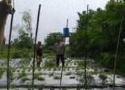 Sambang Warga, Bhabinkamtibmas Gaungkan Ketahanan Pangan Desa