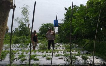 Sambang Warga, Bhabinkamtibmas Gaungkan Ketahanan Pangan Desa