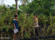 Peran Aktif Polisi dan Pemuda dalam Wujudkan Ketahanan Pangan Lokal