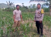Polsek Kuripan Dorong Ketahanan Pangan Lewat Silaturahmi Warga