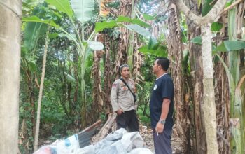 Polsek Batulayar Dorong Warga Sandik Manfaatkan Lahan Kosong untuk Ketahanan Pangan