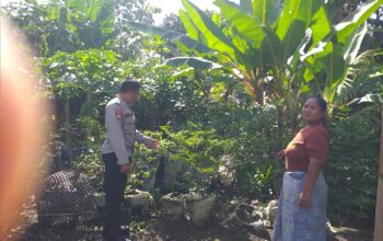 Polsek Kuripan Dorong Ketahanan Pangan Lewat Peran Aktif Bhabinkamtibmas