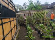 Bhabinkamtibmas Kuripan Sosialisasikan Pemanfaatan Lahan untuk Tanam Pangan