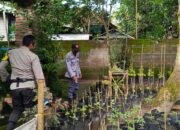 Bhabinkamtibmas Kuripan Edukasi Warga Soal Ketahanan Pangan Lokal