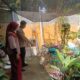 Door to Door System Polsek Labuapi: Pekarangan Sumber Pangan Bergizi