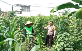 Polsek Labuapi Dukung Ketahanan Pangan, Bhabinkamtibmas Ajak Warga Manfaatkan Lahan Kosong