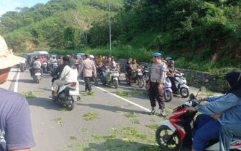 Polsek Lembar Amankan Pemangkasan Pohon Demi Kelancaran Lalu Lintas