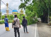 Sinergi Polsek dan Dinas LH Lombok Barat Dalam Penertiban Pohon Berbahaya