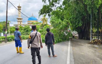 Penertiban dan Pemangkasan Pohon di Jalan Yos Sudarso, Lembar untuk Keselamatan Pengguna Jalan