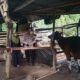 Polsek Batulayar Dorong Ketahanan Pangan Lewat Lahan Pekarangan