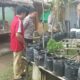 Polsek Sekotong Dukung Program Ketahanan Pangan Nasional Lewat Pekarangan Bergizi