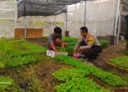 Strategi Polres Lombok Barat Tingkatkan Kemandirian Pangan Masyarakat Desa