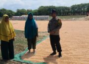 Dorong Ketahanan Pangan, Bhabinkamtibmas Pantau Penjemuran Jagung Warga Desa Daha