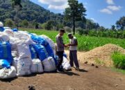 Dukung Swasembada Pangan, Bhabinkamtibmas Desa Talonang Baru Dampingi Panen Jagung